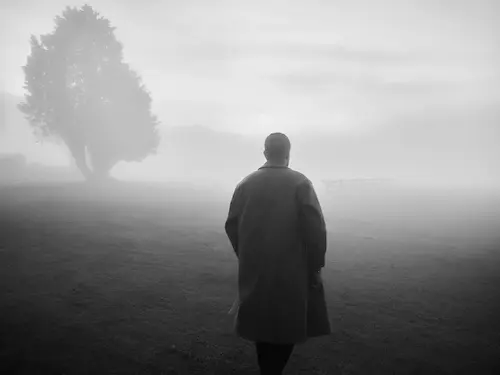 O Labirinto Invisível de Franz Kafka: Por Que a Fadiga Digital e o Burnout Revelam a Nossa Metamorfose Moderna